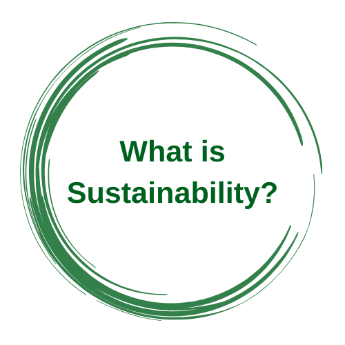 What is Sustainability?