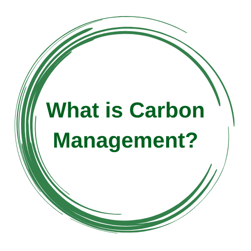 What is Carbon Management?